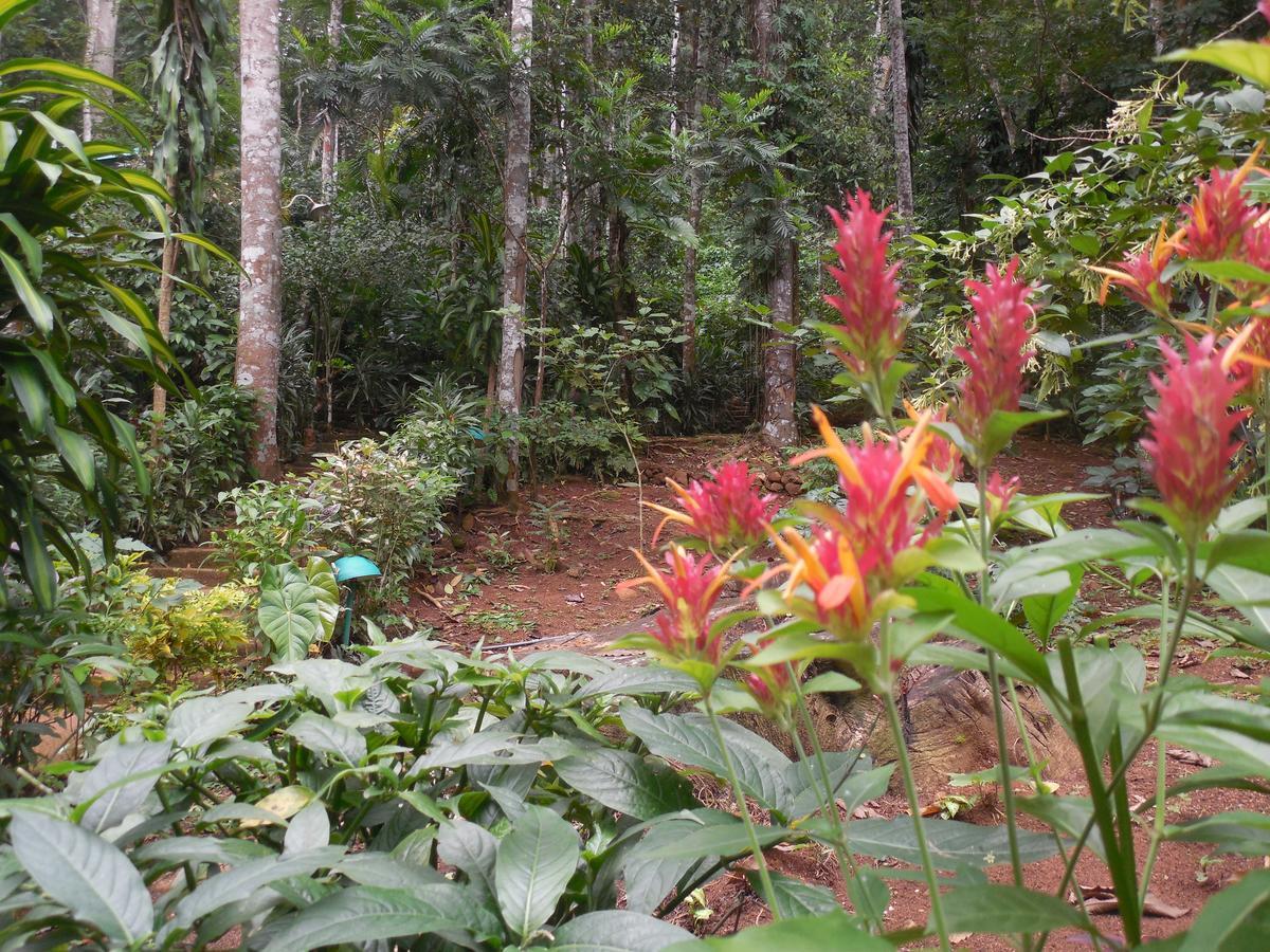 Le Leopard D 'Argent Hotel Kandy Bagian luar foto